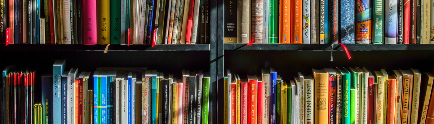 Biblioteca2 Biblioteca2