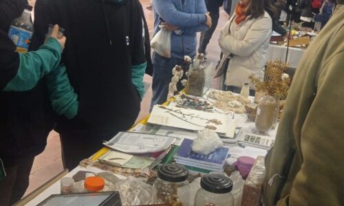 WhatsApp Image 2024-05-16 at 10.03.40 (2) WhatsApp Image 2024-05-16 at 10.03.40 (2)