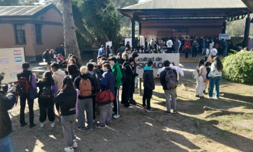 WhatsApp Image 2024-08-14 at 11.55.23 WhatsApp Image 2024-08-14 at 11.55.23