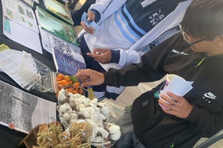 WhatsApp Image 2024-09-05 at 09.46.50