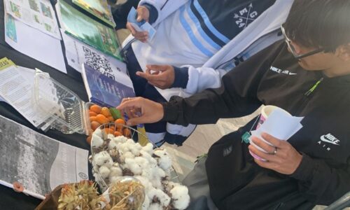 WhatsApp Image 2024-09-05 at 09.46.50 WhatsApp Image 2024-09-05 at 09.46.50